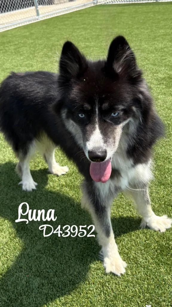 Luna