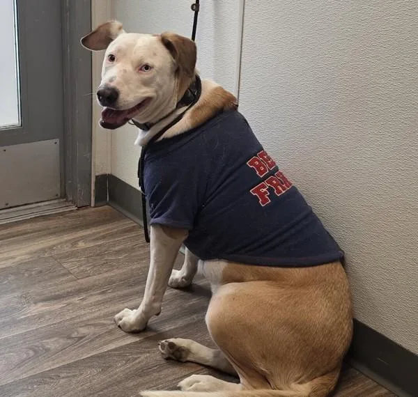 Sadie Marie thumbnail 2