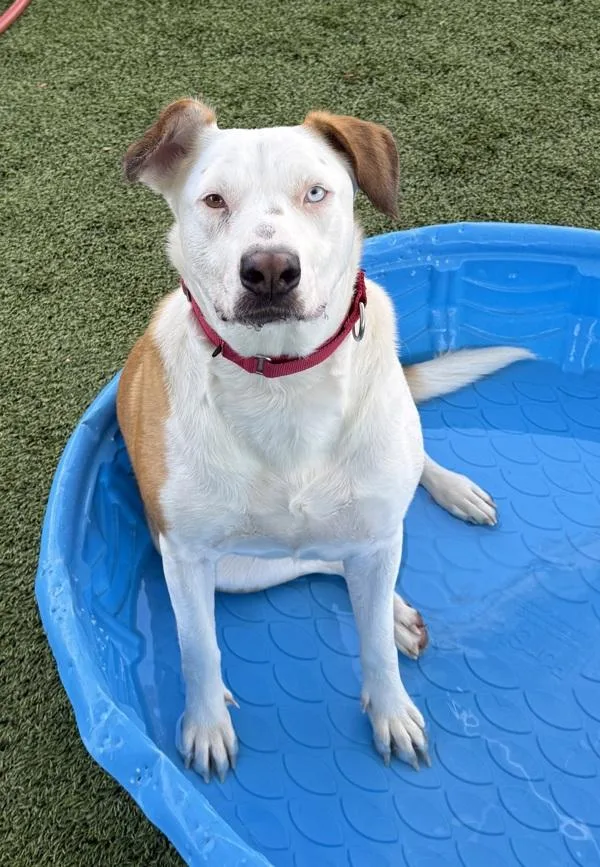 Sadie Marie thumbnail 3