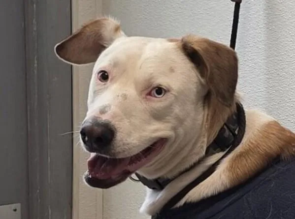 Sadie Marie thumbnail 4