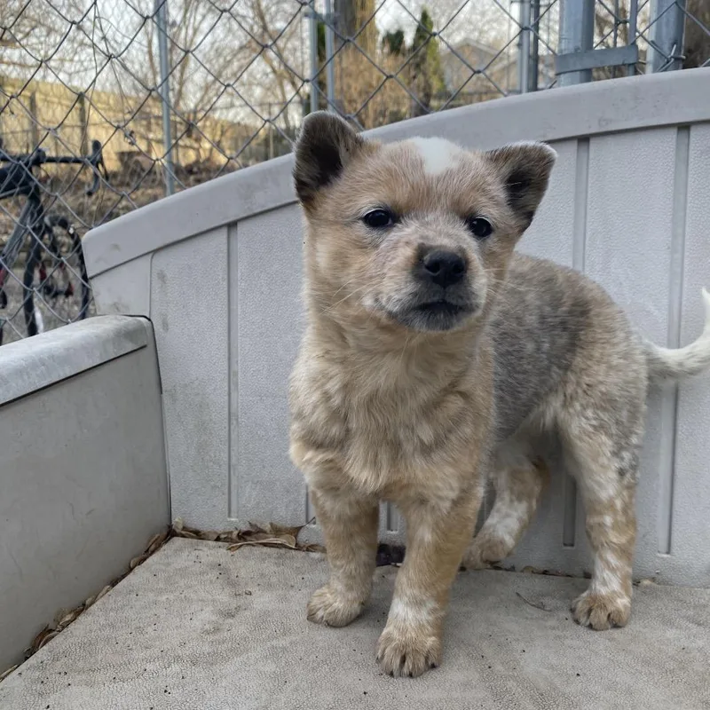 Lilly Truscott thumbnail 2