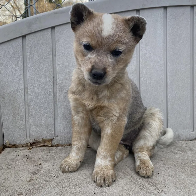 Lilly Truscott thumbnail 3