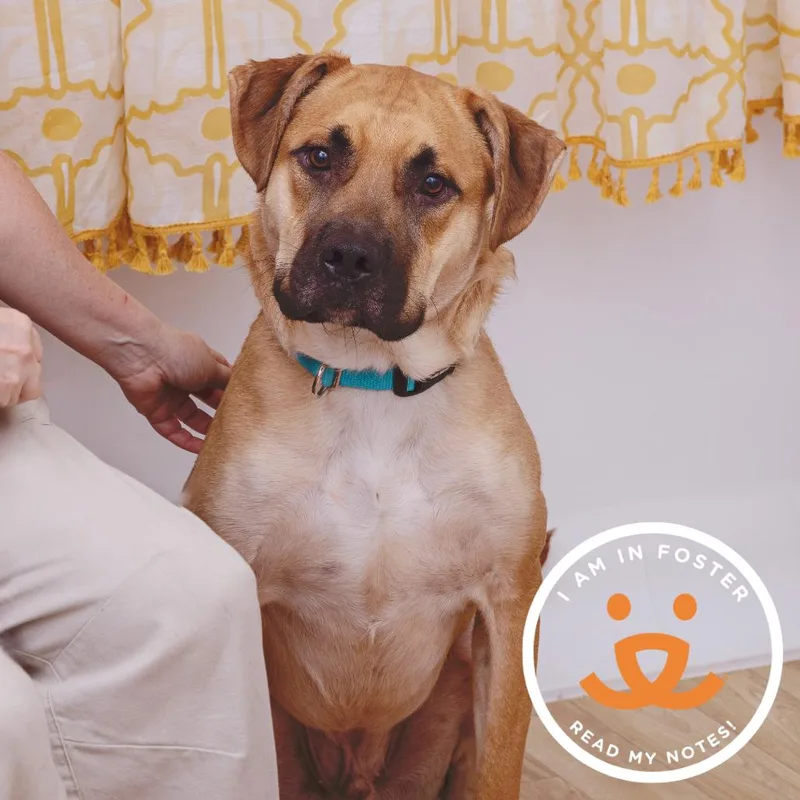 Whiskey Whiskers thumbnail 3