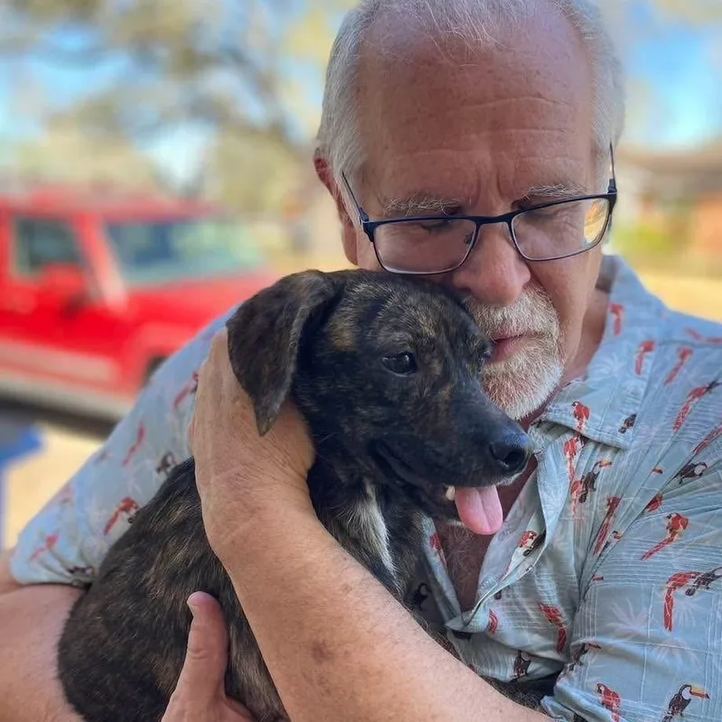 Geraldine Pc thumbnail 3