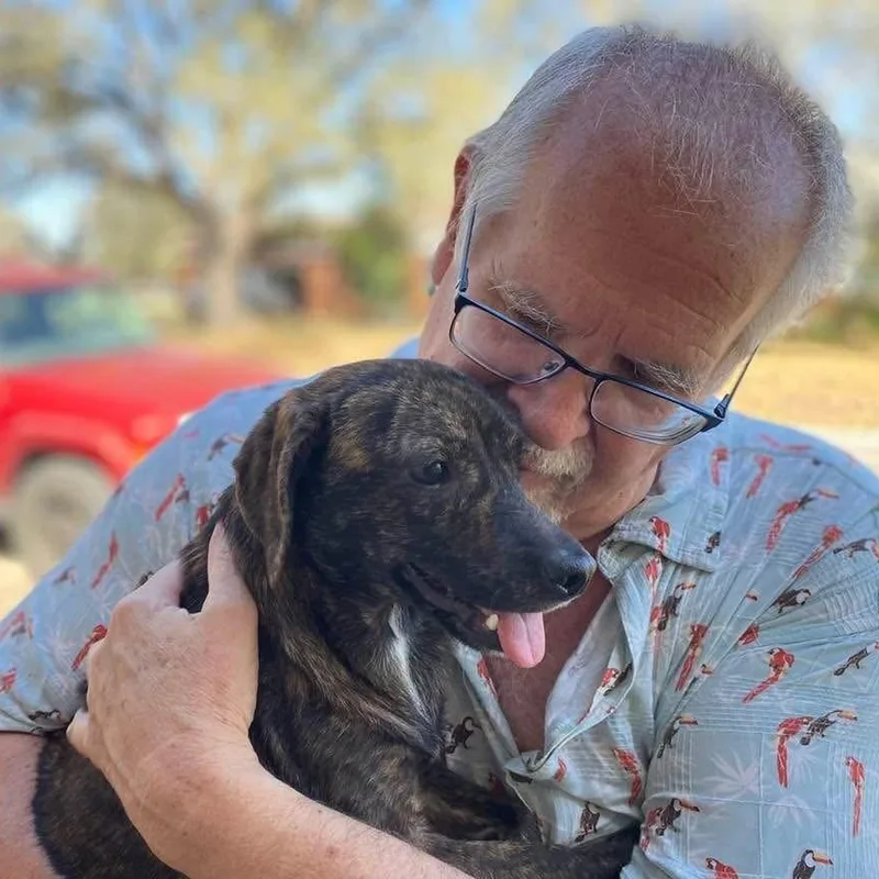 Geraldine Pc thumbnail 5