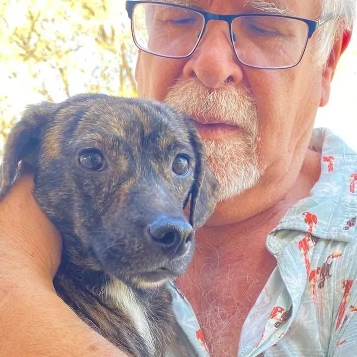 Geraldine Pc thumbnail 6