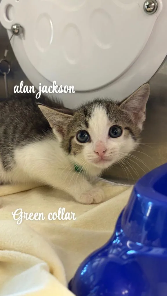 Alan Jackson