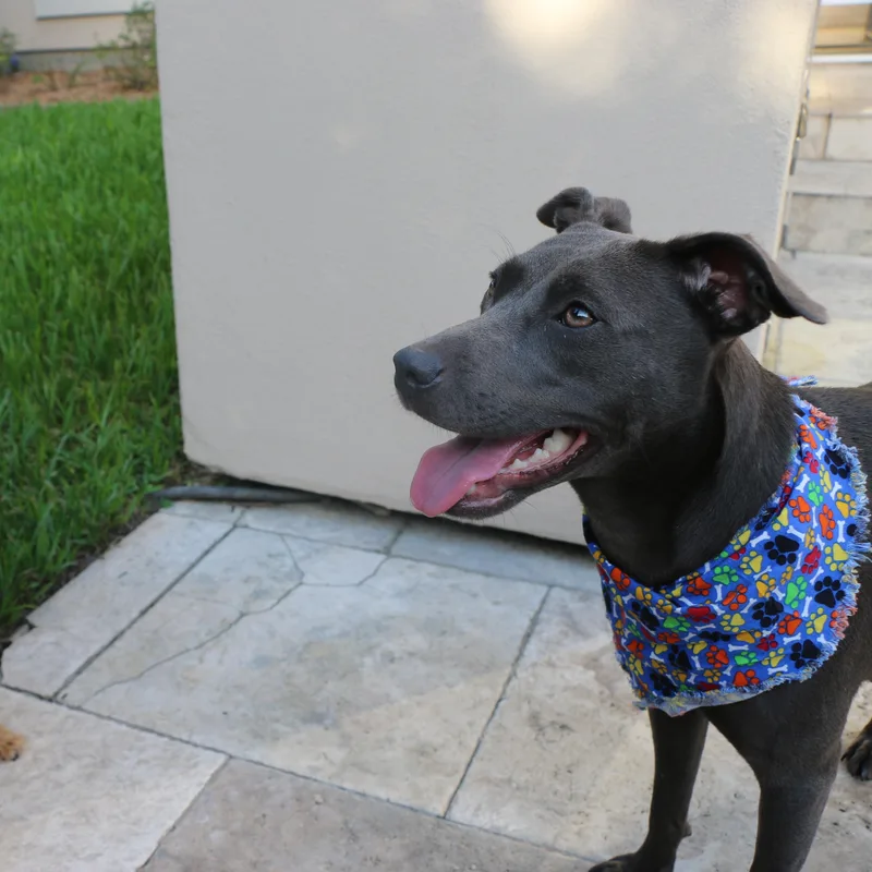 Stormy thumbnail 3