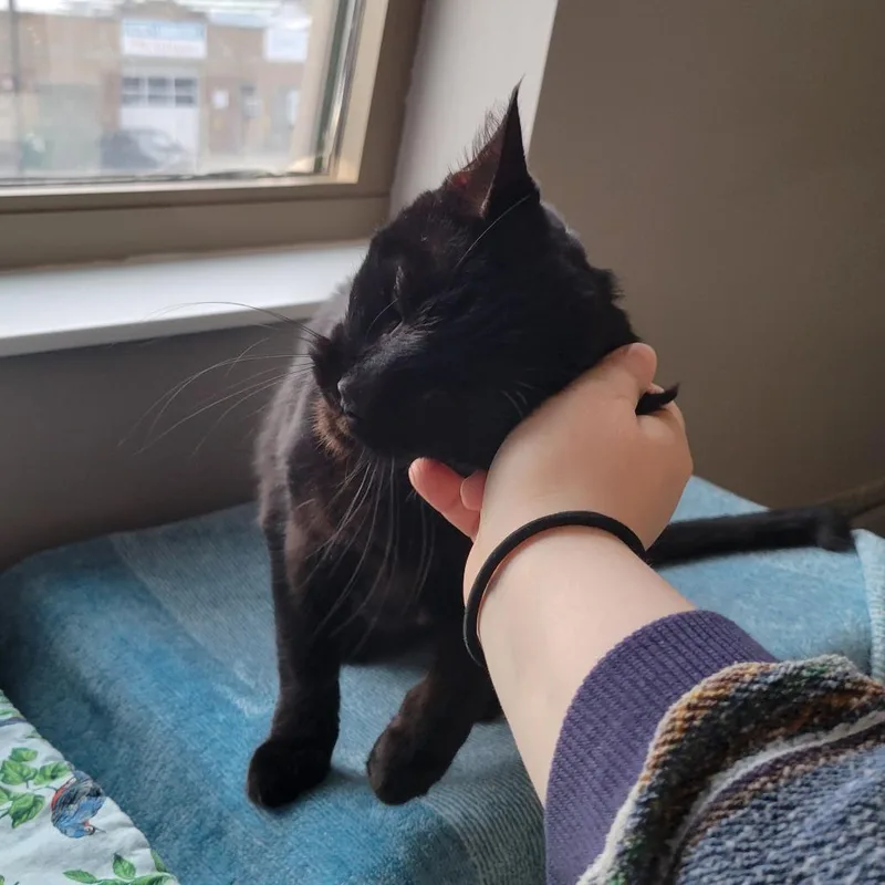 Sephiroth thumbnail 3