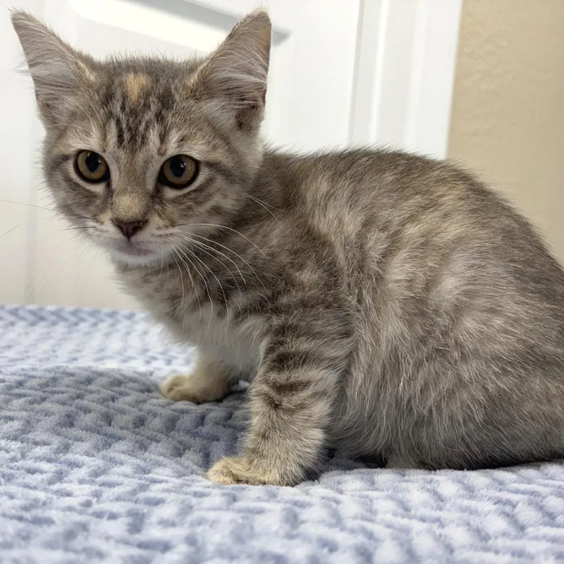 Winnie