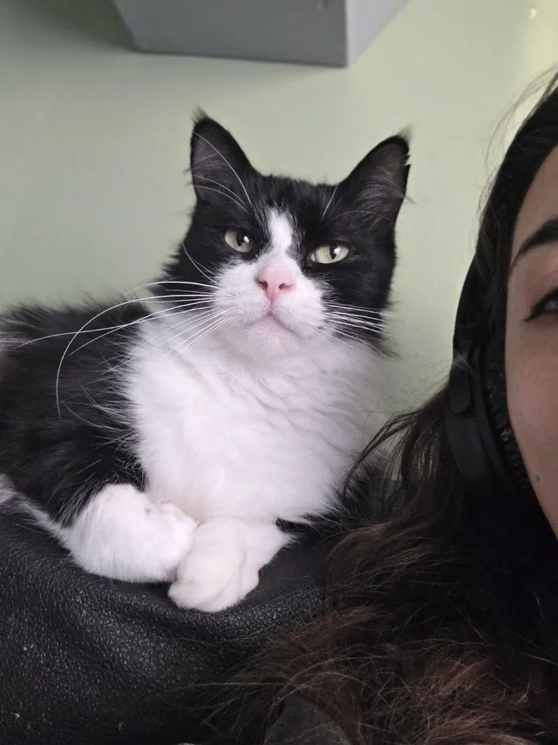 Smooshy thumbnail 6