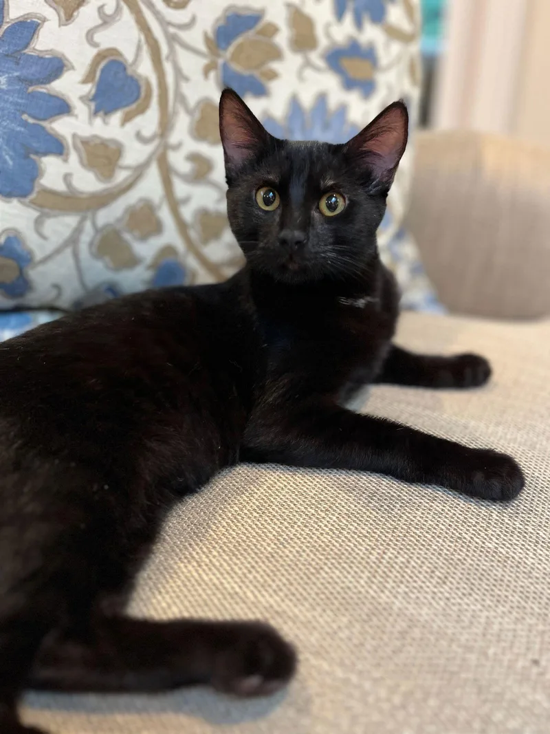 Mila & Peanut thumbnail 2