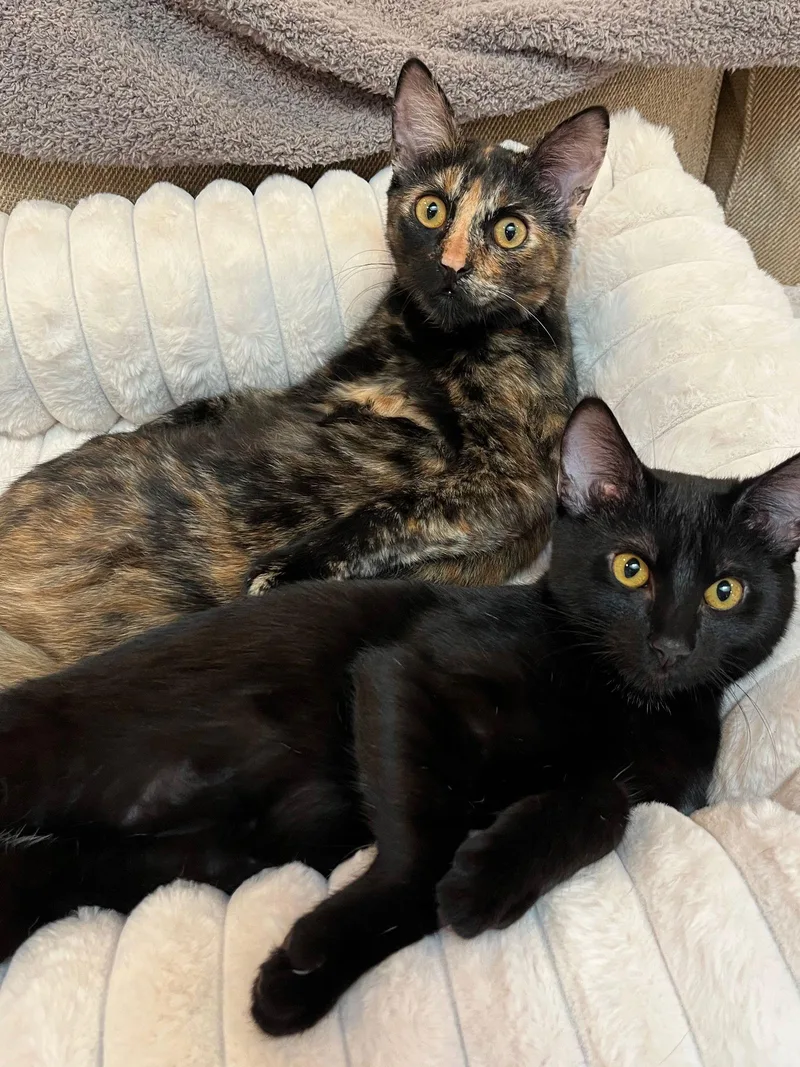 Mila & Peanut thumbnail 3