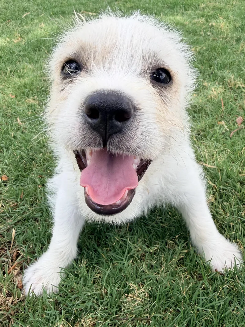 Mandy thumbnail 2