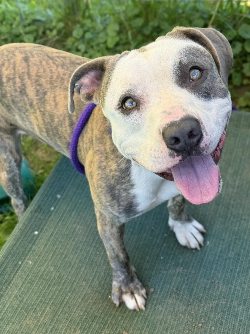 Roscoe