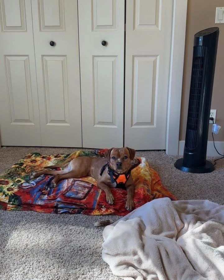 Charles Marcus Barkus thumbnail 2