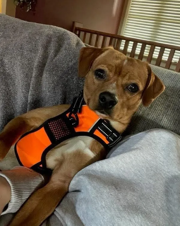 Charles Marcus Barkus thumbnail 3