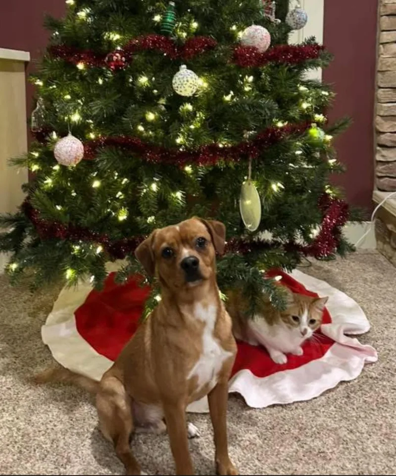 Charles Marcus Barkus