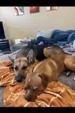 Charles Marcus Barkus thumbnail 4