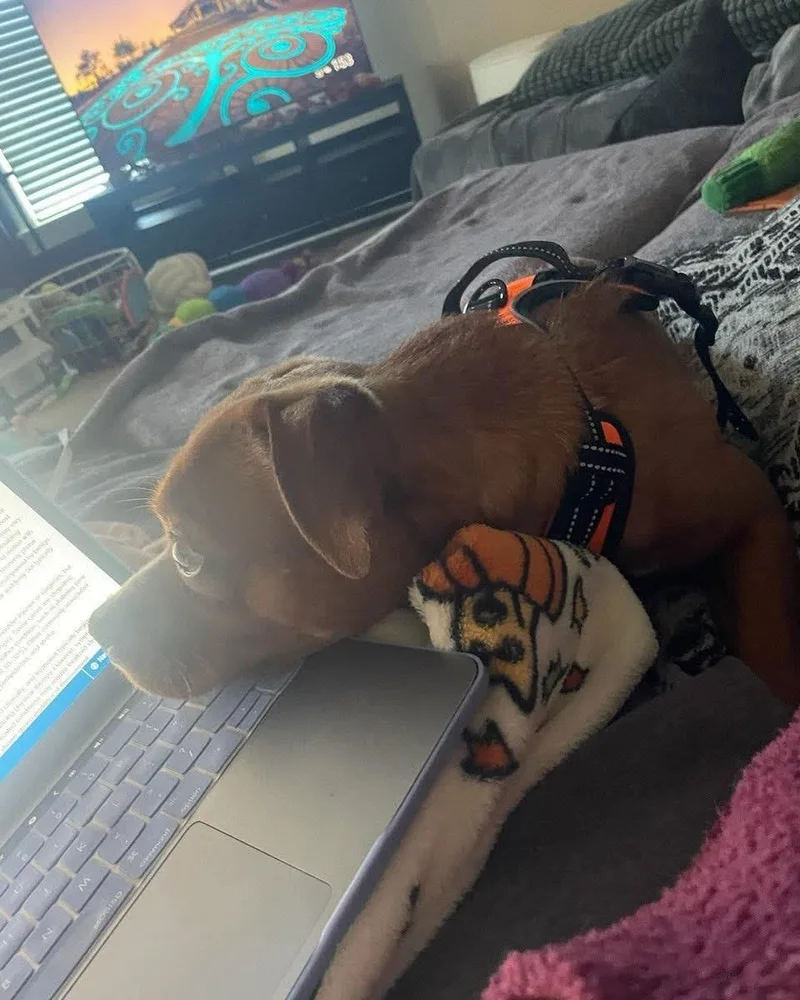 Charles Marcus Barkus thumbnail 5