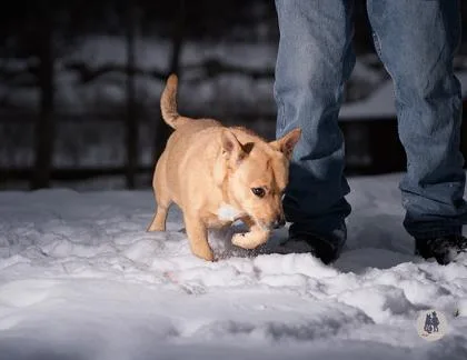 Parker Posey thumbnail 5