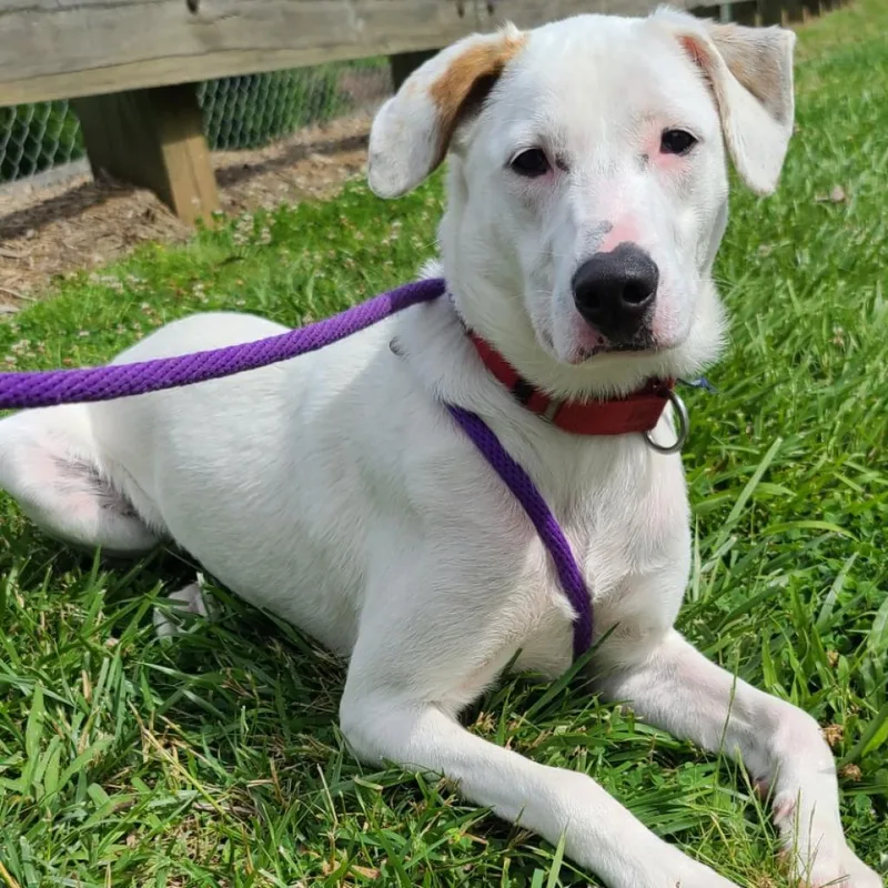 Penelope thumbnail 5