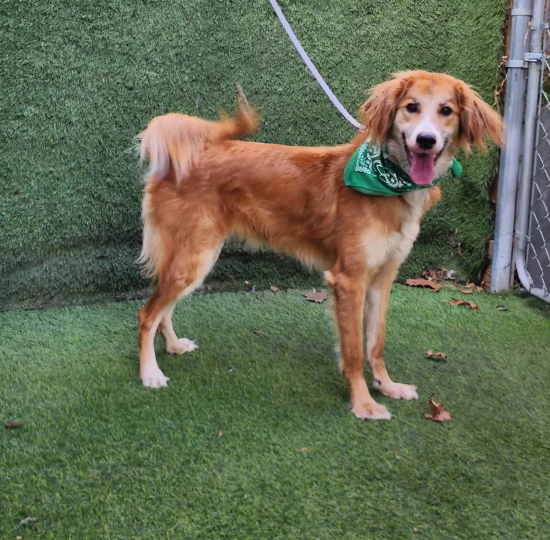 Danny  Vt thumbnail 3