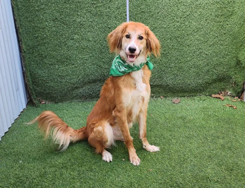 Danny  Vt thumbnail 4