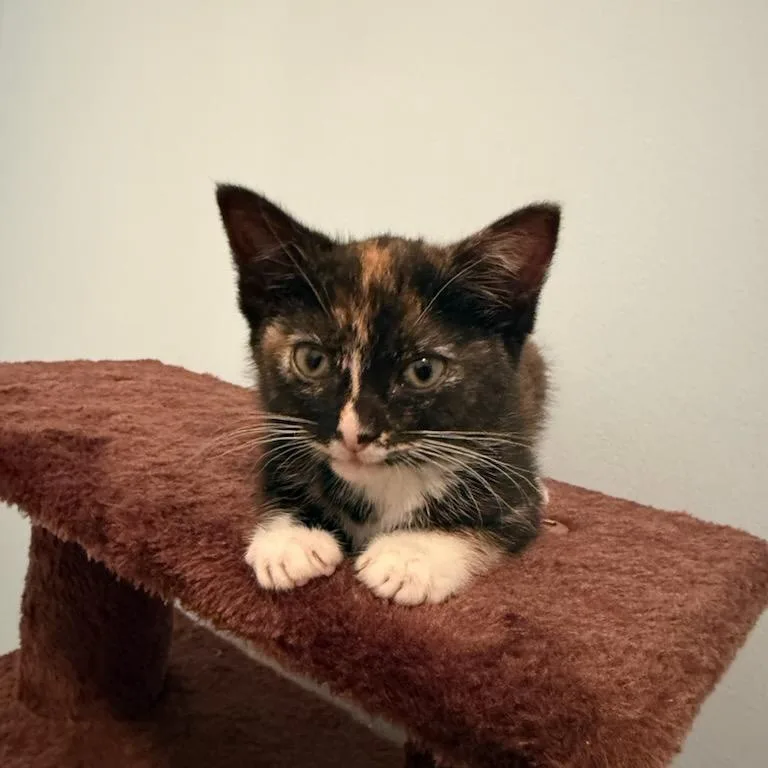 Matilda