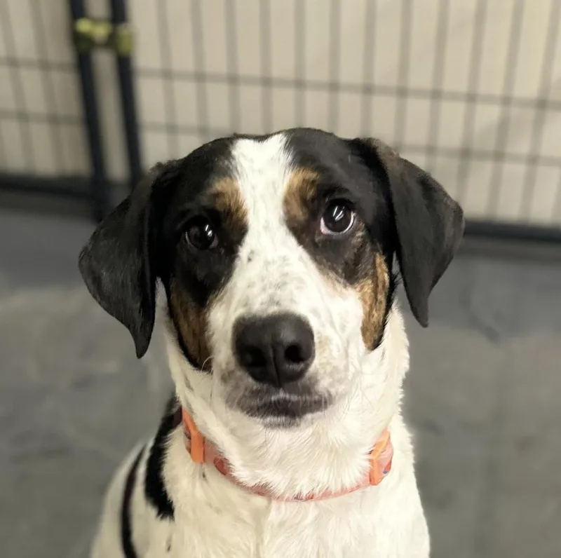 Mira Aka Molly thumbnail 2