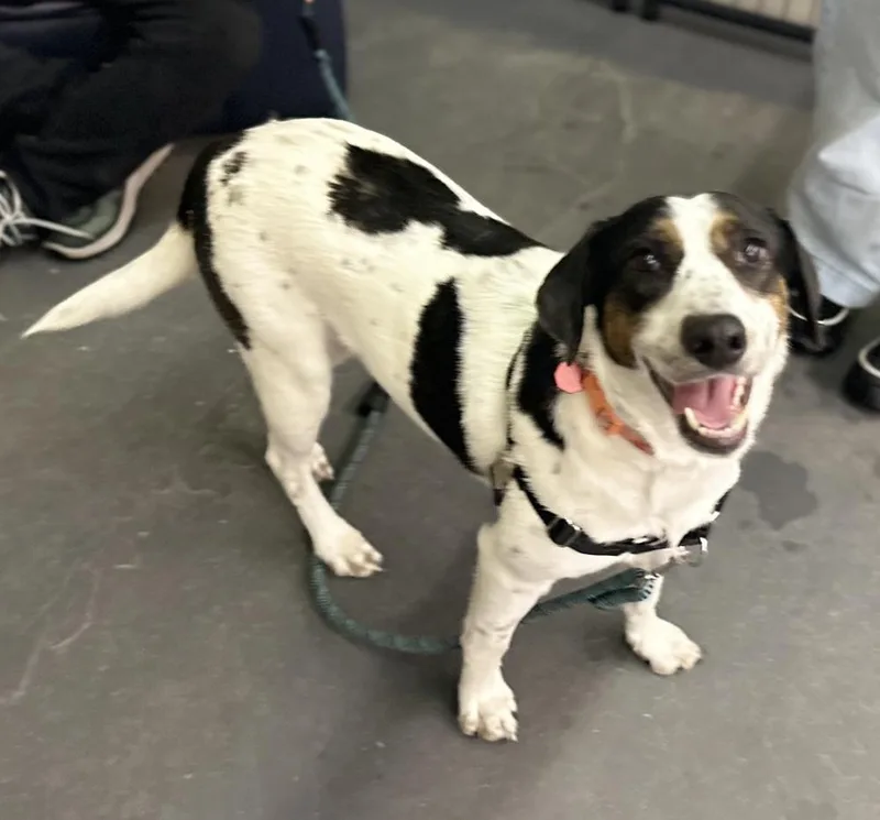 Mira Aka Molly thumbnail 3