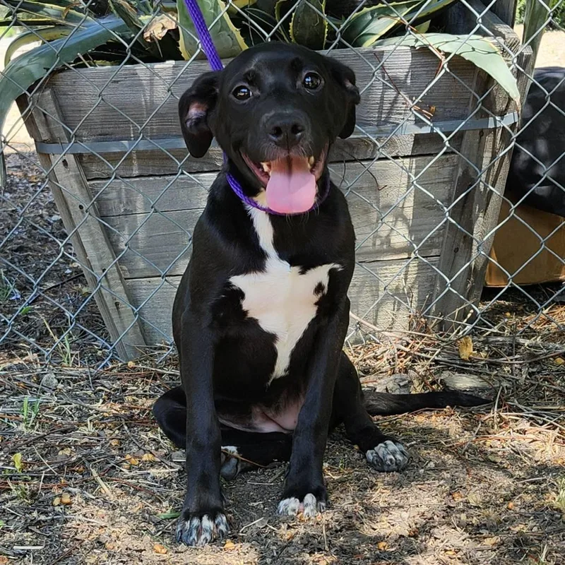 Valentina thumbnail 2