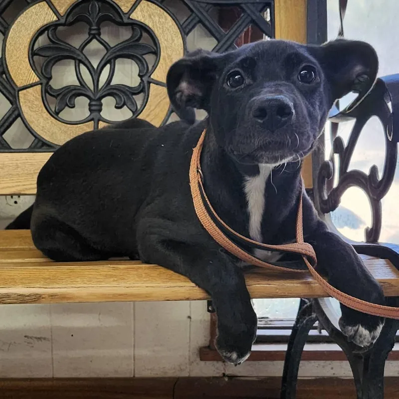 Valentina thumbnail 3