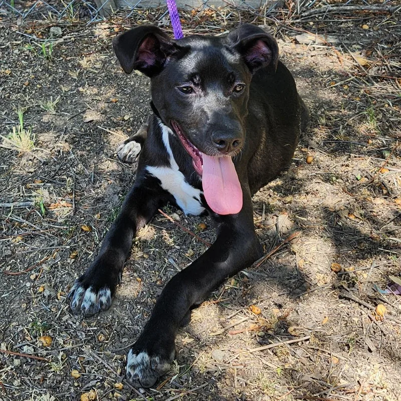 Valentina thumbnail 5