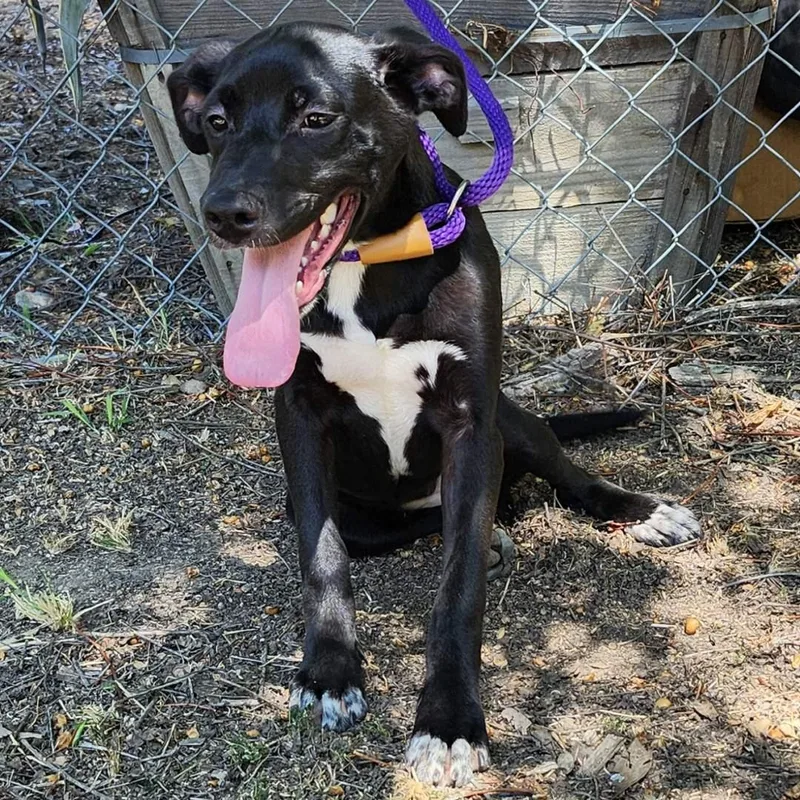 Valentina thumbnail 6