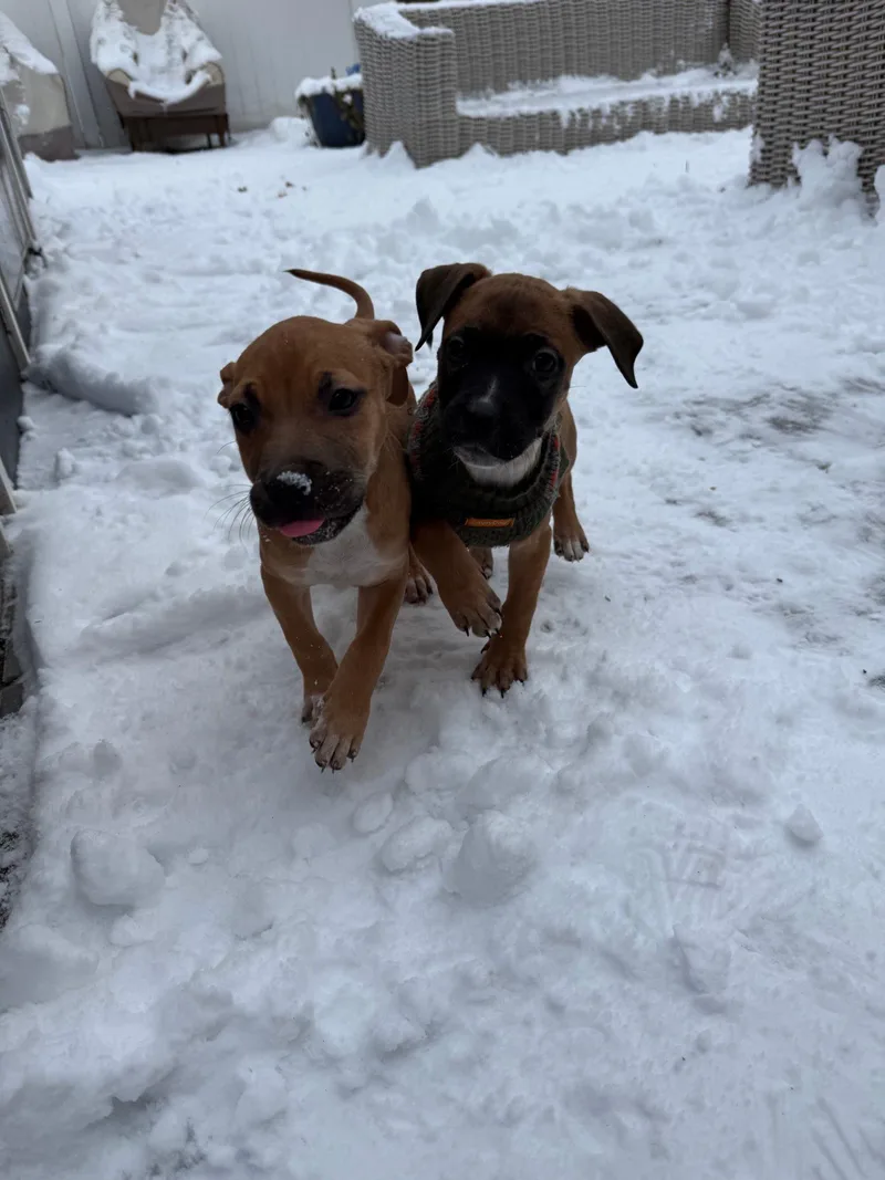 Meganight thumbnail 4