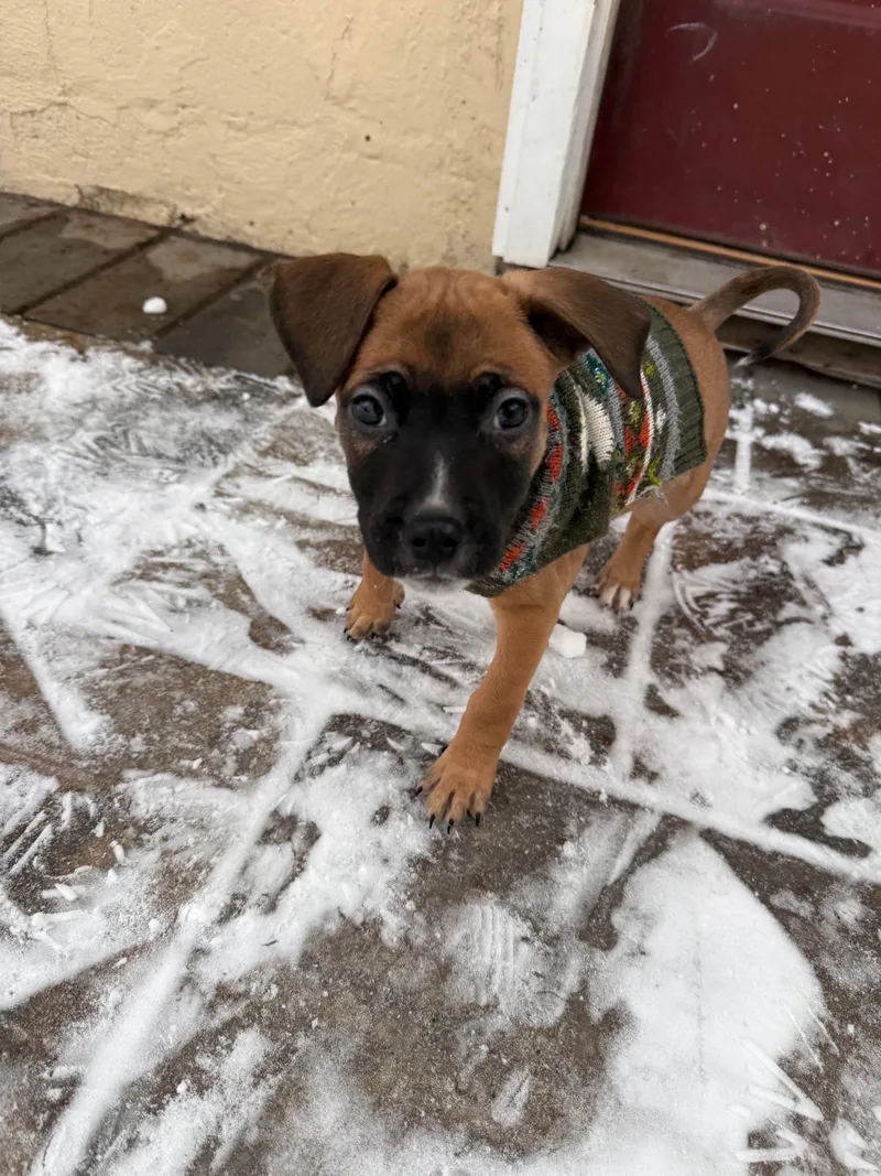 Meganight thumbnail 5