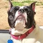 Yoyoma  Fee Sponsored thumbnail 2