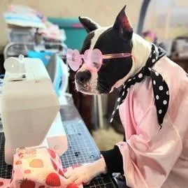 Yoyoma  Fee Sponsored thumbnail 6