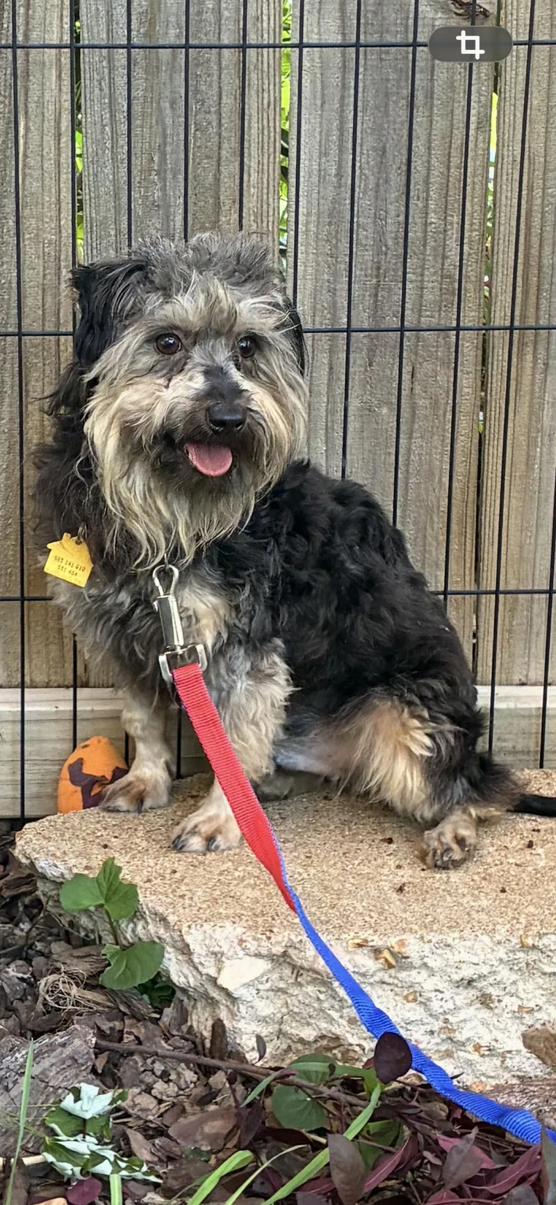 Bradford thumbnail 2