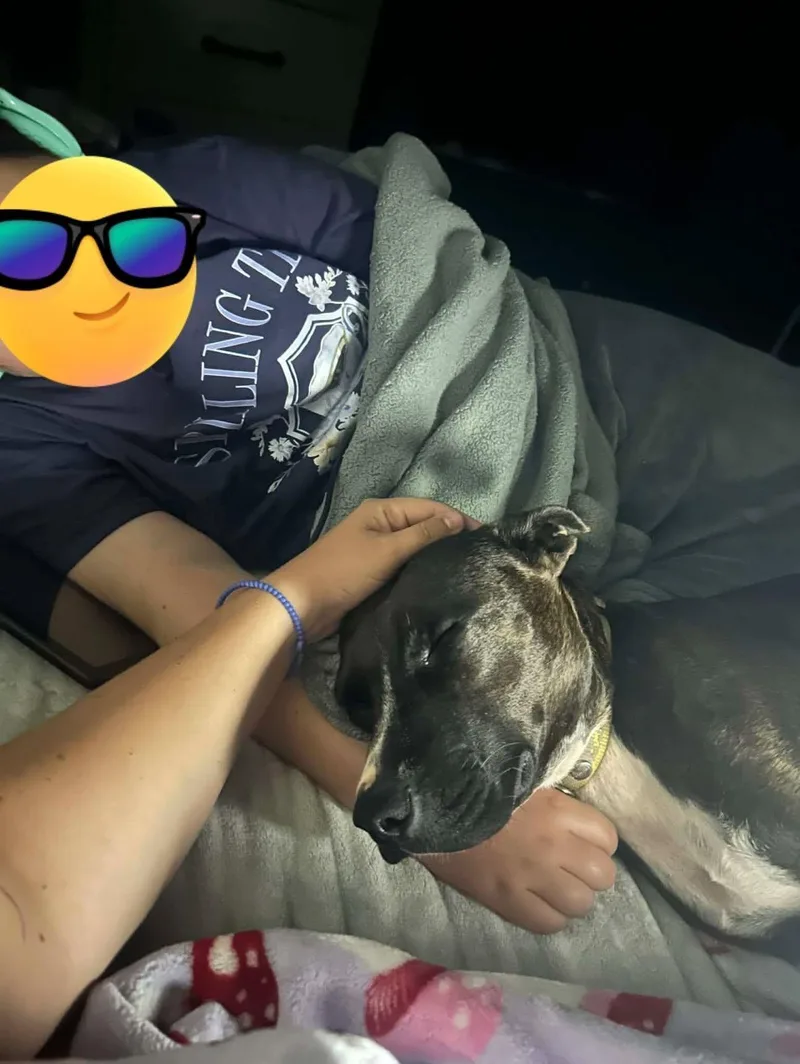 Coco thumbnail 2