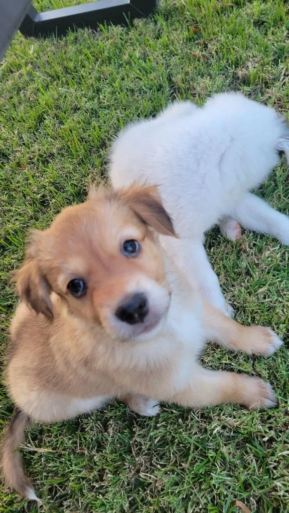Seinfeld thumbnail 2