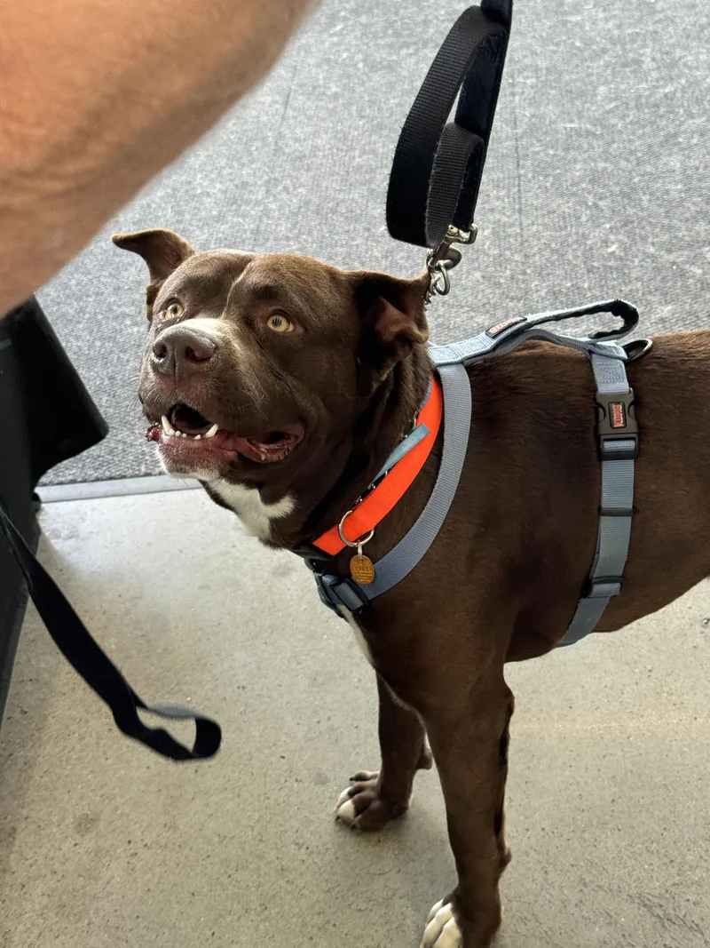 Hercules thumbnail 2