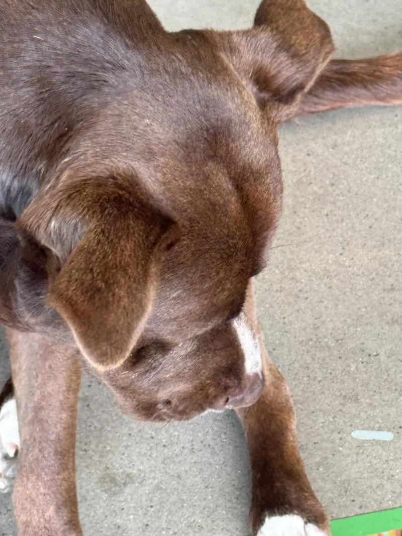 Hercules thumbnail 3