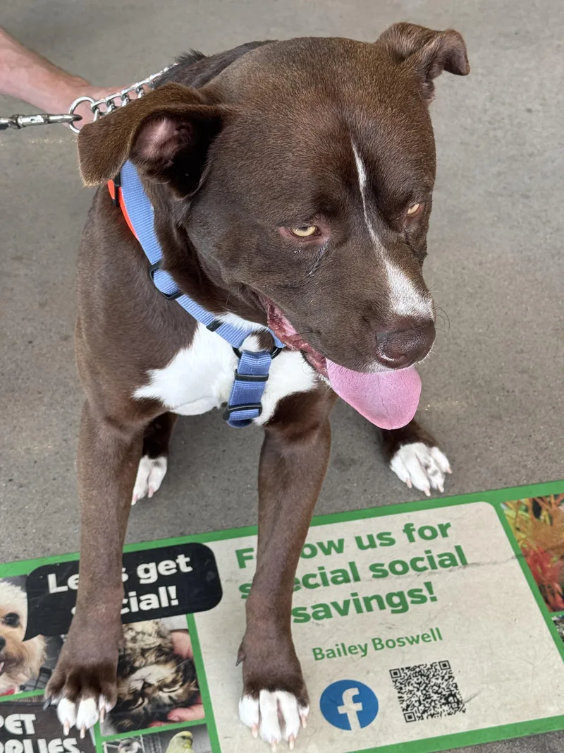 Hercules thumbnail 4