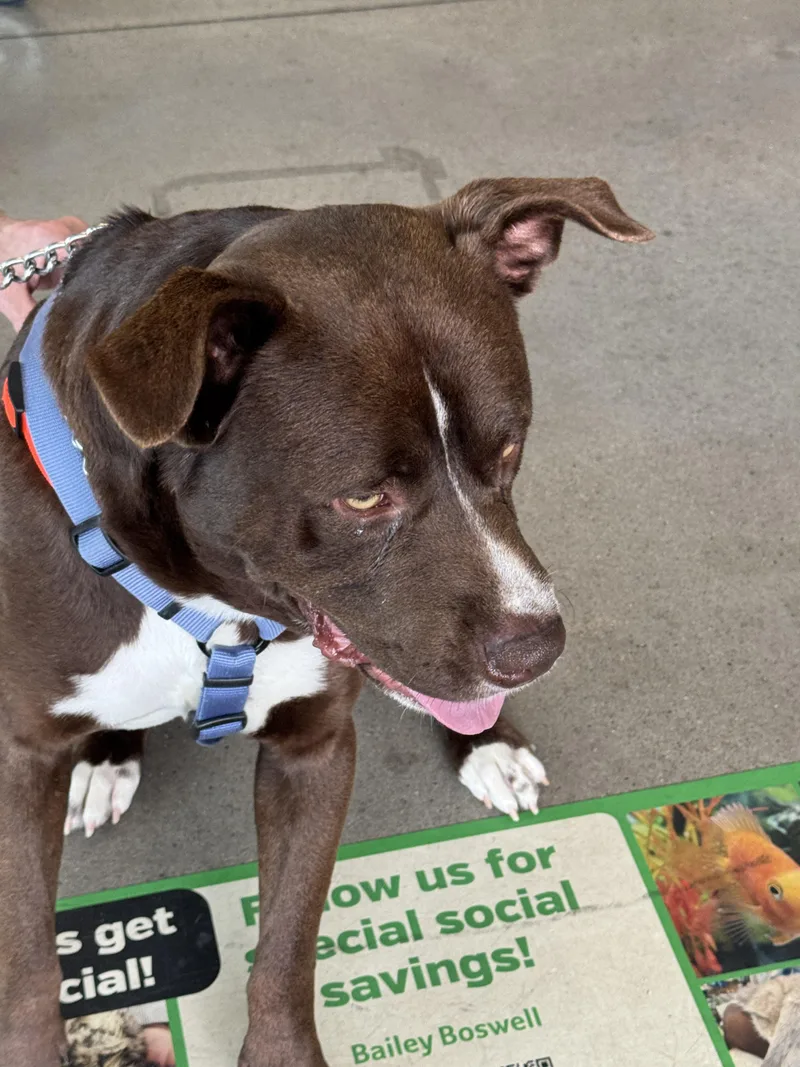 Hercules thumbnail 5