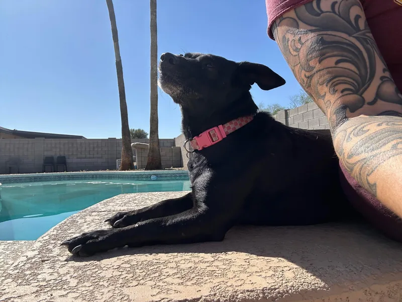 Betty Boop Aka Bb thumbnail 2