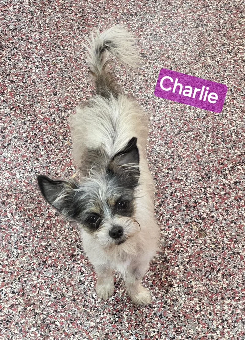 Charlie