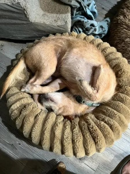 Latte  Fee Sponsored