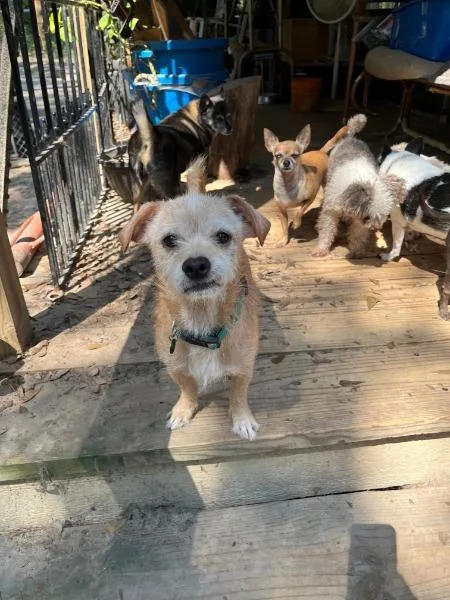 Latte  Fee Sponsored thumbnail 2